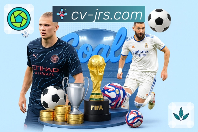 专业与效率并重